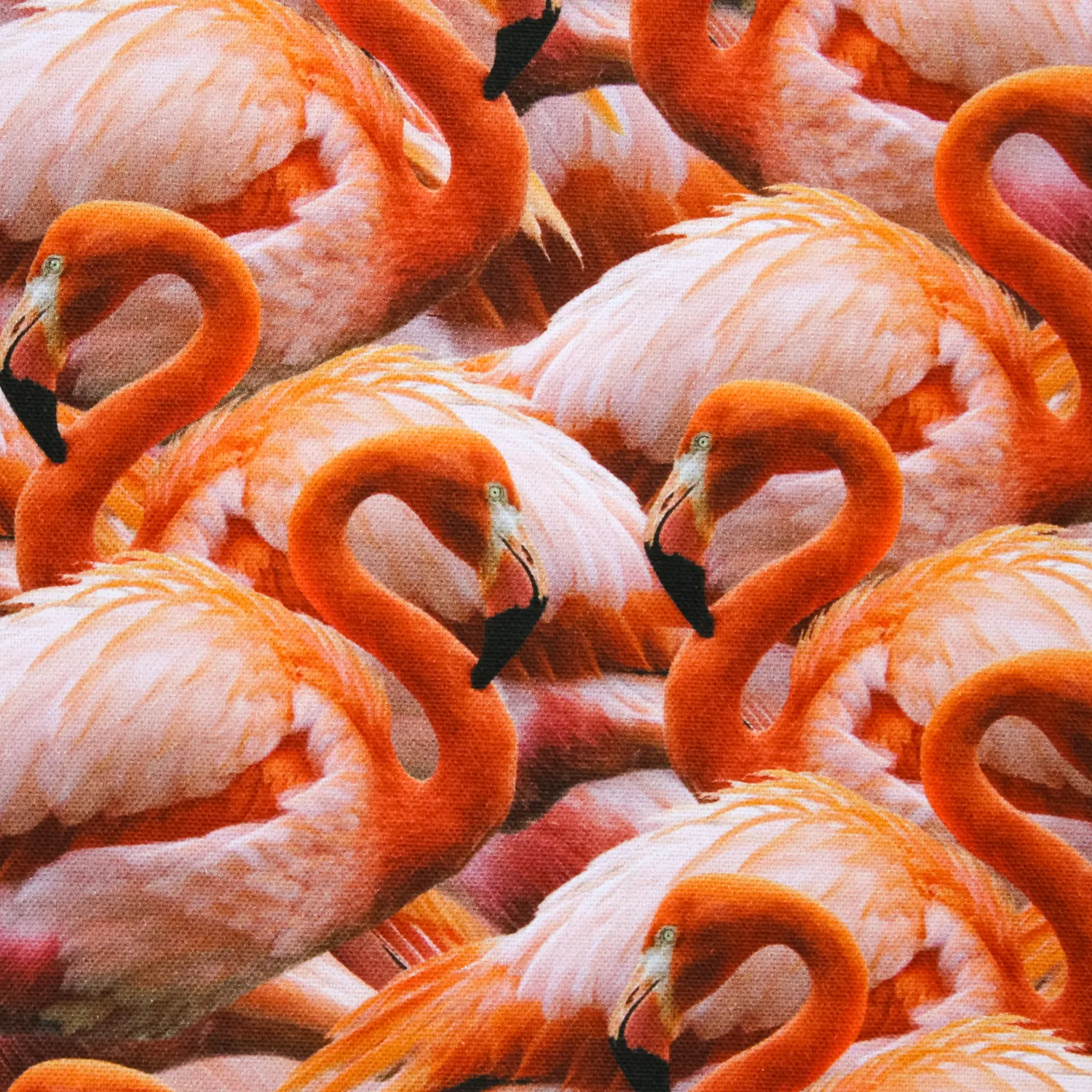 Canvas met flamingo's